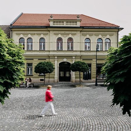 Villa Elizabeth - Grand Family Apartment Slovenj Gradec Exterior foto