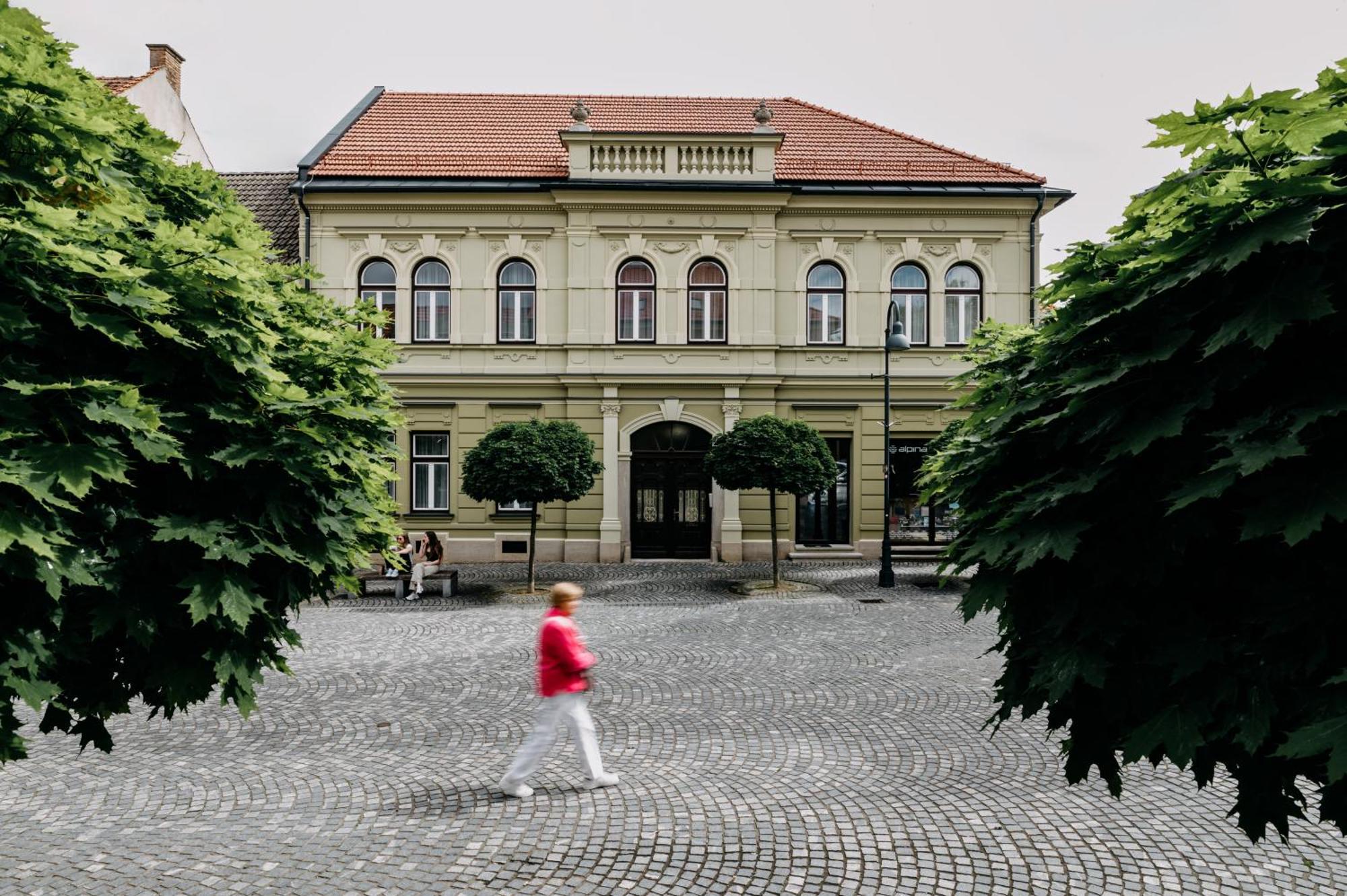 Villa Elizabeth - Grand Family Apartment Slovenj Gradec Exterior foto